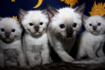 Imagen: ChristArt. Fuente: PhotoXpress. Imagen: ChristArt. Fuente: PhotoXpress.