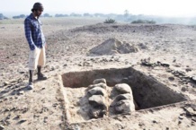 Excavación de uno de los montículos en el valle Chincha (Perú). Imagen: C. Stanish. Fuente: Universidad de California. Excavación de uno de los montículos en el valle Chincha (Perú). Imagen: C. Stanish. Fuente: Universidad de California.