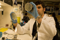 El investigador Alvaro Aytes El investigador Alvaro Aytes. Fuente: Idibell. El investigador Alvaro Aytes El investigador Alvaro Aytes. Fuente: Idibell.