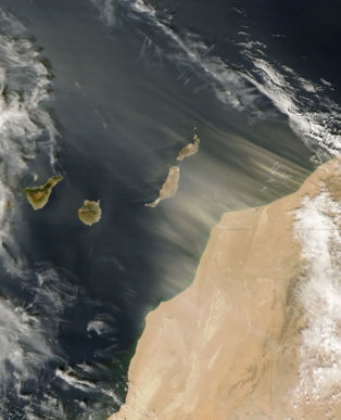 Calima sobre Canarias. Fuente: NASA. Calima sobre Canarias. Fuente: NASA.