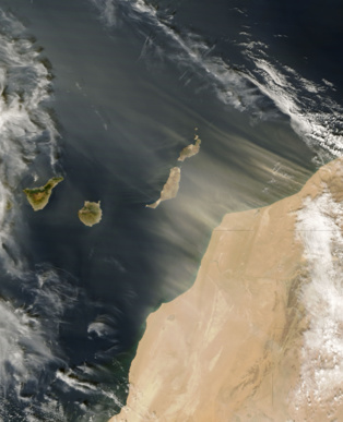 Calima sobre Canarias. Fuente: NASA.