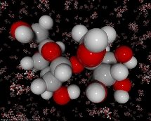 Moléculas del azúcar. Moléculas del azúcar.