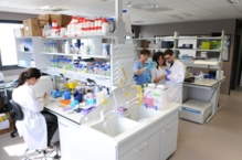 El Instituto de Biomedicina y Biotecnología de Cantabria. Fuente: CSIC. El Instituto de Biomedicina y Biotecnología de Cantabria. Fuente: CSIC.