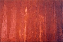 Andres Tomas Montalvan