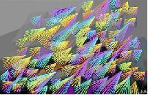 Fotones en vuelo. Bettina Brendell