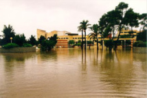 Inundación en el Campus de la Universidad de Alicante en octubre de 1982. Fuente: UA. Inundación en el Campus de la Universidad de Alicante en octubre de 1982. Fuente: UA.