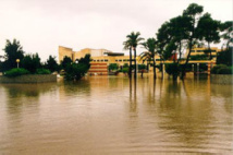 Inundación en el Campus de la Universidad de Alicante en octubre de 1982. Fuente: UA.