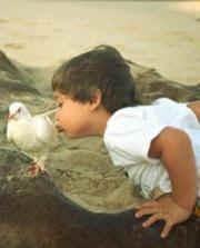 11-M: ¿Por quién doblan las campanas?