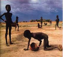 Niños buscando insectos para comer en Sudán
