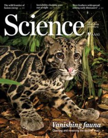 Portada del número de la revista ‘Science’. Fuente: Sinc. Portada del número de la revista ‘Science’. Fuente: Sinc.