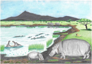 Spas en el Pleistoceno. Fuente: UMA.