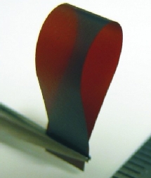 La hoja del nuevo material. Northwestern University La hoja del nuevo material. Northwestern University