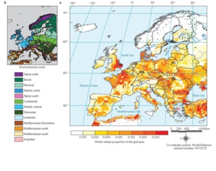 Zonas de cultivo de trigo en Europa. Fuente: Nature Climate Change.