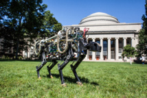 El robot guepardo. Imagen: Jose-Luis Olivares. Fuente: MIT.