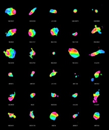 Distribución del gas molecular en 30 fusiones de galaxias. Fuente: ESO. Distribución del gas molecular en 30 fusiones de galaxias. Fuente: ESO.