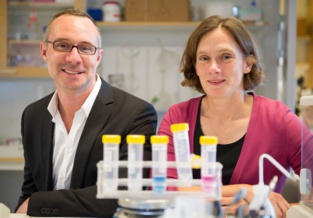 Los investigadores Jorge Rúas y Maria Lindskog. Imagen: Ulf Sirborn Fuente: Instituto Karolinska. Los investigadores Jorge Rúas y Maria Lindskog. Imagen: Ulf Sirborn Fuente: Instituto Karolinska.
