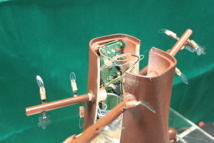 Tronco de Plantoid. Fuente: Plantoid Project. Tronco de Plantoid. Fuente: Plantoid Project.