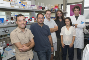 Los investigadores que han desarrollado Biogás Plus. De izquierda a derecha, Eudald Casals, Xavier Font, Antoni Sánchez, Víctor Puntes, Raquel Barrena y Martí Busquets. Fuente: UAB.