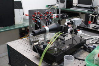 El simulador de la digestión Octopus. Fuente: UGR. El simulador de la digestión Octopus. Fuente: UGR.