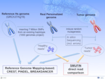 Fuente: BSC. Fuente: BSC.