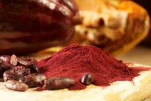 Semillas de cacao. Fuente: Mars. Semillas de cacao. Fuente: Mars.