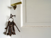 Fuente: Plusverde/ Sxu License Fuente: Plusverde/ Sxu License