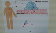 Gráfico del funcionamiento de los nanosensores biológicos. Fuente: CSIC. Gráfico del funcionamiento de los nanosensores biológicos. Fuente: CSIC.