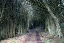 Imagen: chruhr. Fuente: PhotoXpress. Imagen: chruhr. Fuente: PhotoXpress.