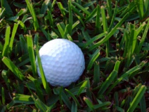 Imagen: dhester. Fuente: morgueFile. Imagen: dhester. Fuente: morgueFile.