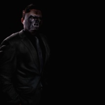 “Gorilla – Like a boss”. Imagen: David Blackwell. Fuente: Flickr. “Gorilla – Like a boss”. Imagen: David Blackwell. Fuente: Flickr.