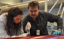 Investigadores colocando muestras de ADN en la superficie del cohete. Imagen: Adrian Mettauer. Fuente: Universidad de Zúrich.