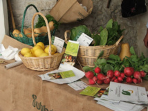 Productos ecológicos de la Subbética cordobesa. Fuente: Asociación Subbética Ecológica. Productos ecológicos de la Subbética cordobesa. Fuente: Asociación Subbética Ecológica.