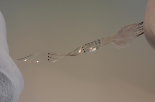 El electroestimulador. Fuente: EPFL. El electroestimulador. Fuente: EPFL.