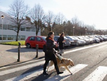 Fuente: Vicomtech-IK4. Fuente: Vicomtech-IK4.