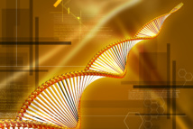 Imagen: abhijith3747. Fuente: PhotoXpress. Imagen: abhijith3747. Fuente: PhotoXpress.