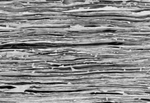 Estructura del material mimético al nácar, vista al microscopio electrónico. Imagen: P. Das. Fuente: DWI. Estructura del material mimético al nácar, vista al microscopio electrónico. Imagen: P. Das. Fuente: DWI.