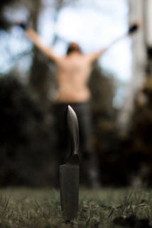 Imagen: Sebastian Anthony. Fuente: AlphaGalileo. Imagen: Sebastian Anthony. Fuente: AlphaGalileo.