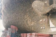 Imagen de bioensuciamiento. Foto: International Paint Ltd Imagen de bioensuciamiento. Foto: International Paint Ltd