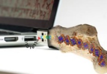 En la búsqueda de maneras de almacenar datos permanentemente, los investigadores del ETH se han inspirado en los fósiles. Imagen: Philipp Stössel. Fuente: ETH Zurich.