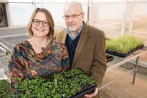 Jack Schultz y Heidi Appel sostienen plantas de 'Arabidopsis', utilizadas en sus experimentos. Imagen: Roger Meissen. Fuente: Universidad de Missouri.