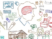 Imagen: Sean Polyn y Keith Wood. Fuente: Universidad de Vanderbilt. Imagen: Sean Polyn y Keith Wood. Fuente: Universidad de Vanderbilt.