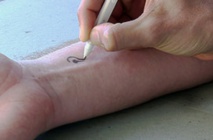 Fuente: Universidad de California en San Diego. Fuente: Universidad de California en San Diego.