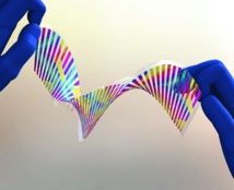 El material cambia de color desde el azul hasta el rojo. Fuente: OSA. El material cambia de color desde el azul hasta el rojo. Fuente: OSA.