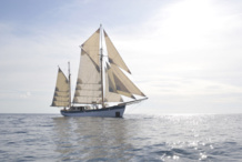 El 'Fleur de passion'. Fuente: UPC. El 'Fleur de passion'. Fuente: UPC.