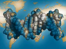 Mapa del ADN. Paul A. Thiessen. Templeton Foundation.