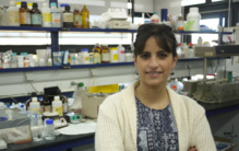 La investigadora Lucía Hipólito. Fuente: UV. La investigadora Lucía Hipólito. Fuente: UV.