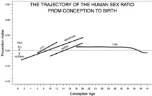 Evolución de la proporción de varones (eje vertical) a lo largo del embarazo (eje horizontal). Fuente: Instituto de Investigación Fresh Pond. Evolución de la proporción de varones (eje vertical) a lo largo del embarazo (eje horizontal). Fuente: Instituto de Investigación Fresh Pond.