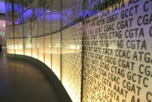 Científicos israelíes han creado pantallas flexibles hechas de ADN. Imagen: John Goode. Fuente: Flickr.