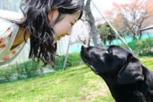 Un labrador retriever macho mira fijamente a una estudiante. En el primer experimento, esta mirada mutua hizo incrementar los niveles de oxitocina en la orina de su dueña. Imagen: Mikako Mikura. Fuente: Universidad Azabu. Un labrador retriever macho mira fijamente a una estudiante. En el primer experimento, esta mirada mutua hizo incrementar los niveles de oxitocina en la orina de su dueña. Imagen: Mikako Mikura. Fuente: Universidad Azabu.