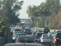 Imagen: biofriendly. Fuente: Flickr. Imagen: biofriendly. Fuente: Flickr.